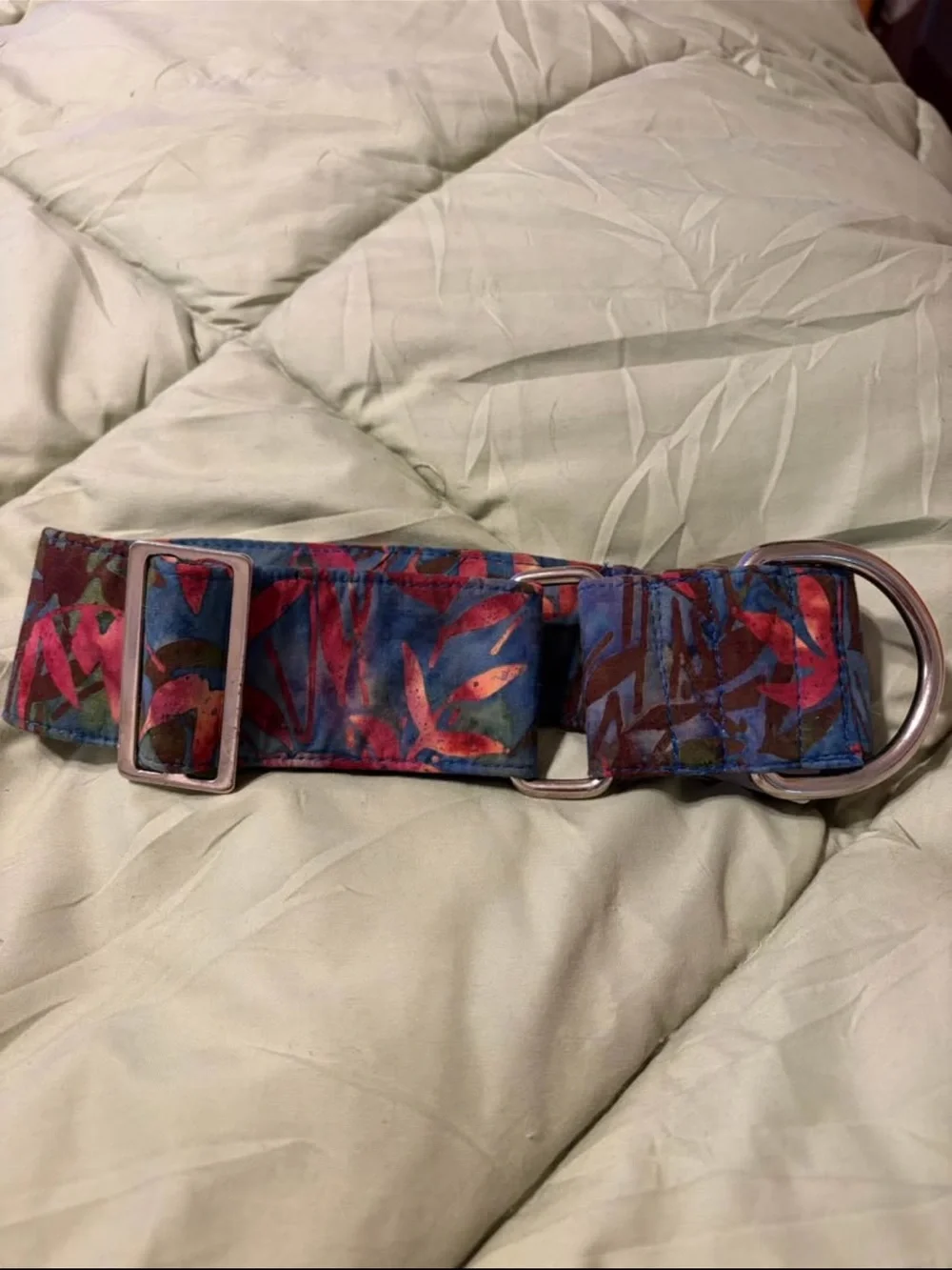 Two 2” martingale colors and 4’ leash.  14-18” neck. Greyhound or whippet.  New
